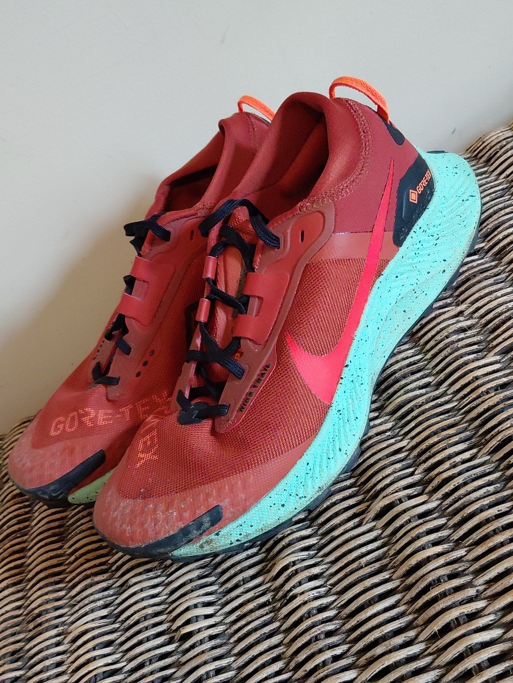 Nike Pegasus Trail Goretex Sneakers